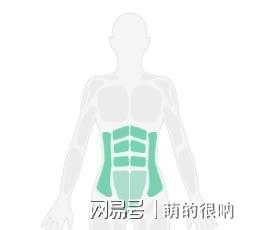 仰卧卷腹转体一个能练出马甲线、人鱼线和侧腹肌的复合动作(图1)