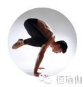 【瑜伽】MyPTyoga优秀瑜伽私人教练培训(图1)