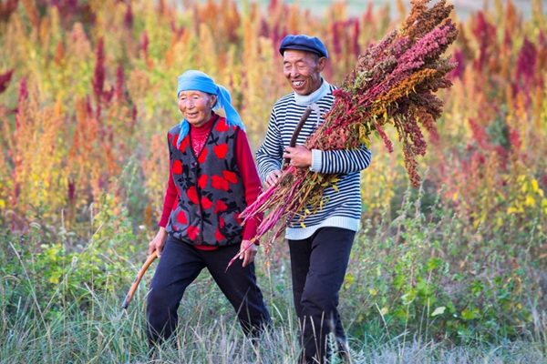 被瑜伽改变的村庄(图8)